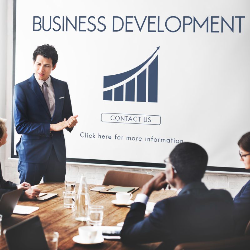 Business Development Consultant